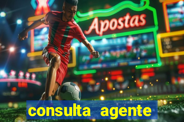 consulta agente autuador sp